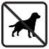 Pets not allowed